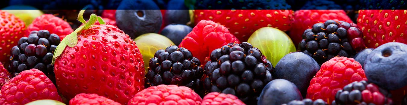 alimentos y bebidas